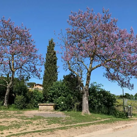 Bettelhaus ホテル