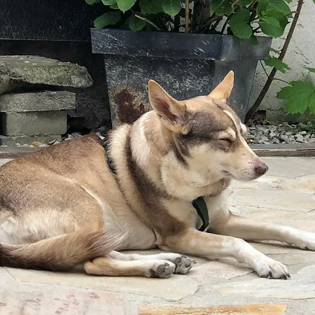 ホテル Bettelhaus