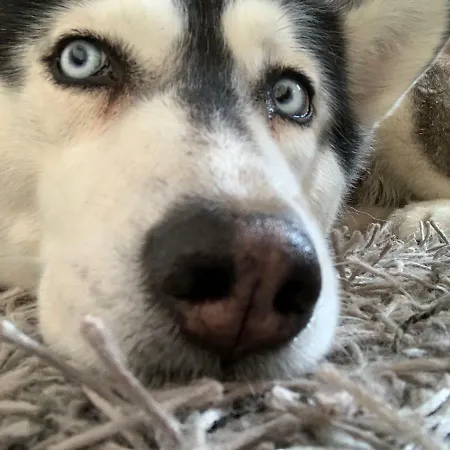 ホテル Bettelhaus