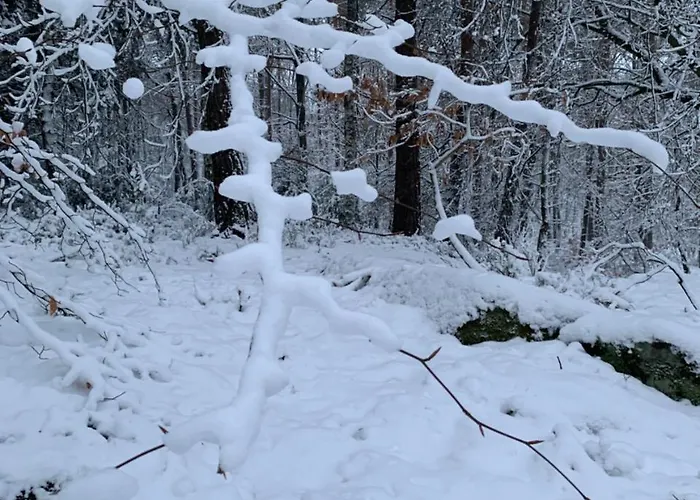 Bettelhaus Bad Dürkheim