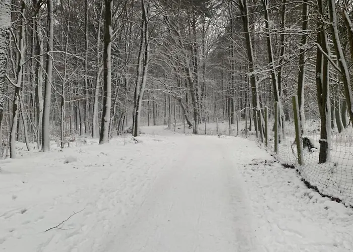 Bettelhaus Bad Dürkheim